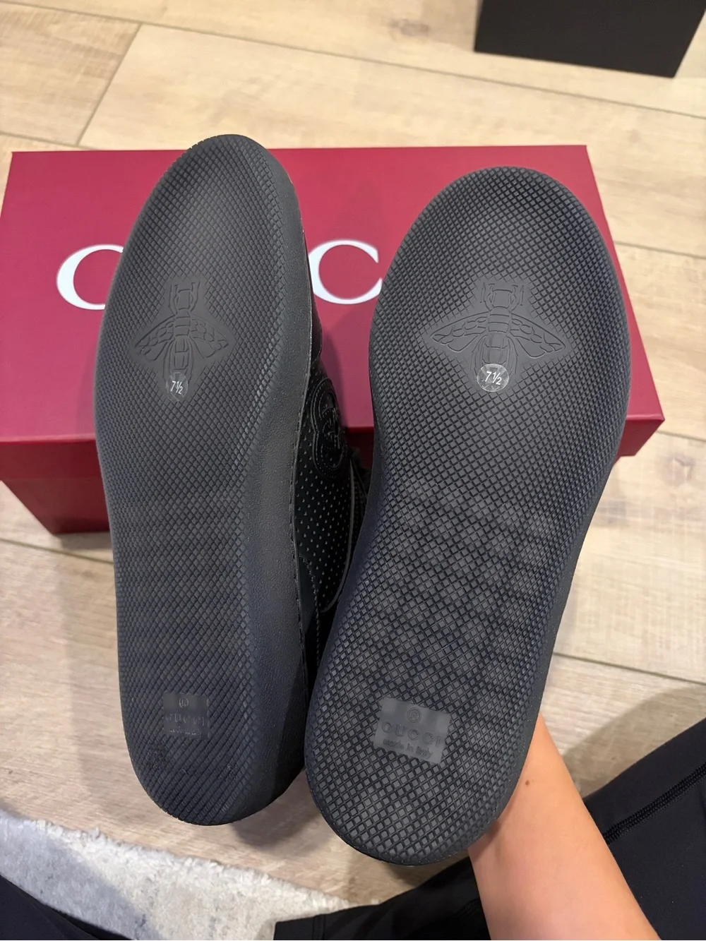 Gucci low top